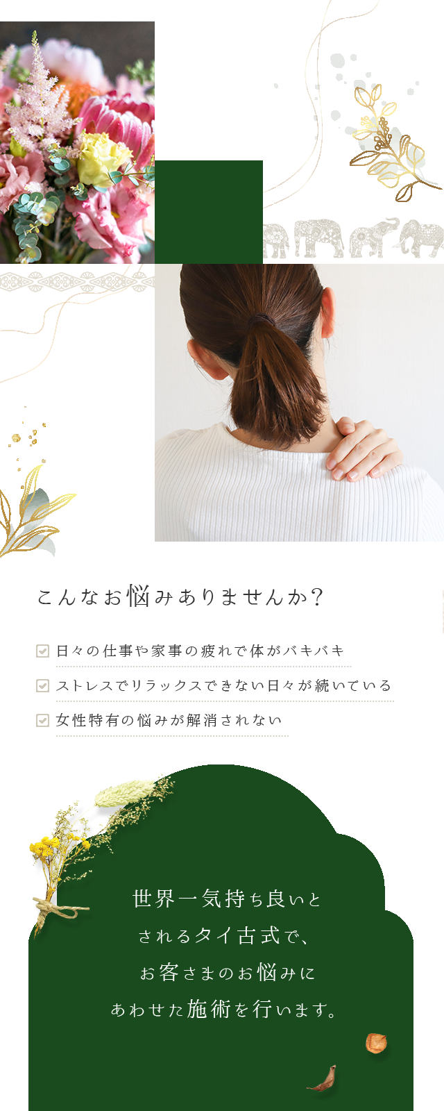 sp_body_bg